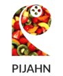 Kurt_Pijahn_Handelsgesellschaft_GmbH-removebg-preview (2)